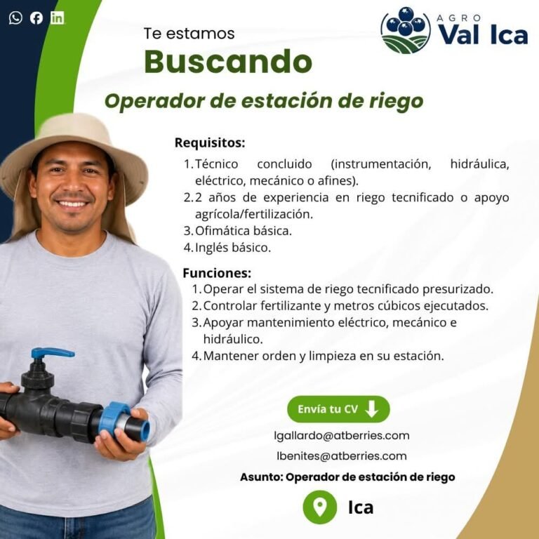 Tecnico electricista