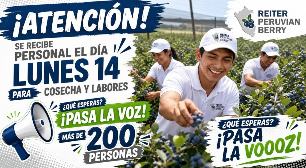 Personal para cosecha y labores - Lunes 14 - Imagen 1