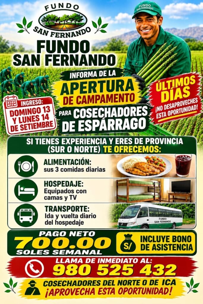 Fundo San Fernando — Cosechadores de espárrago