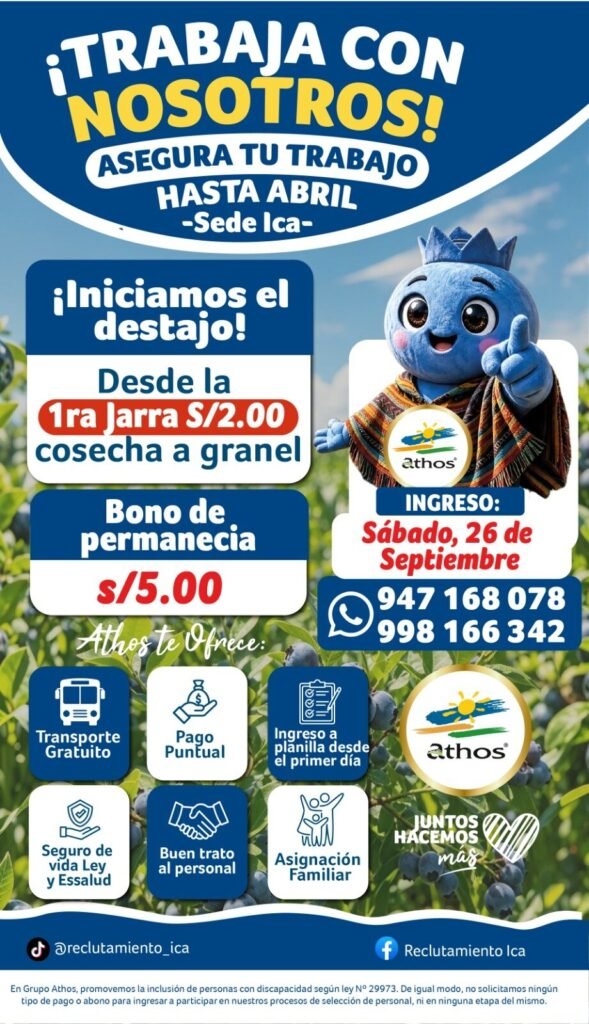 80 cosechadores de arándano en Athos