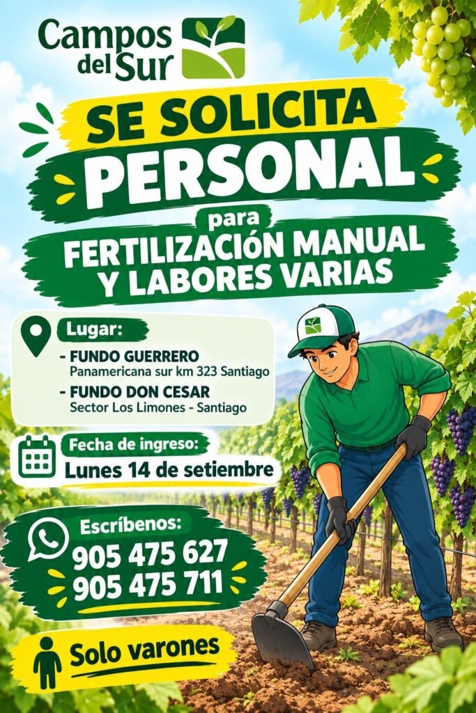 Fertilizacion manual y varios labores