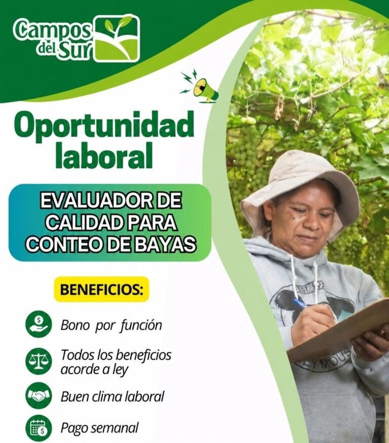 1 Evaluador de Calidad para conteo de bayas
