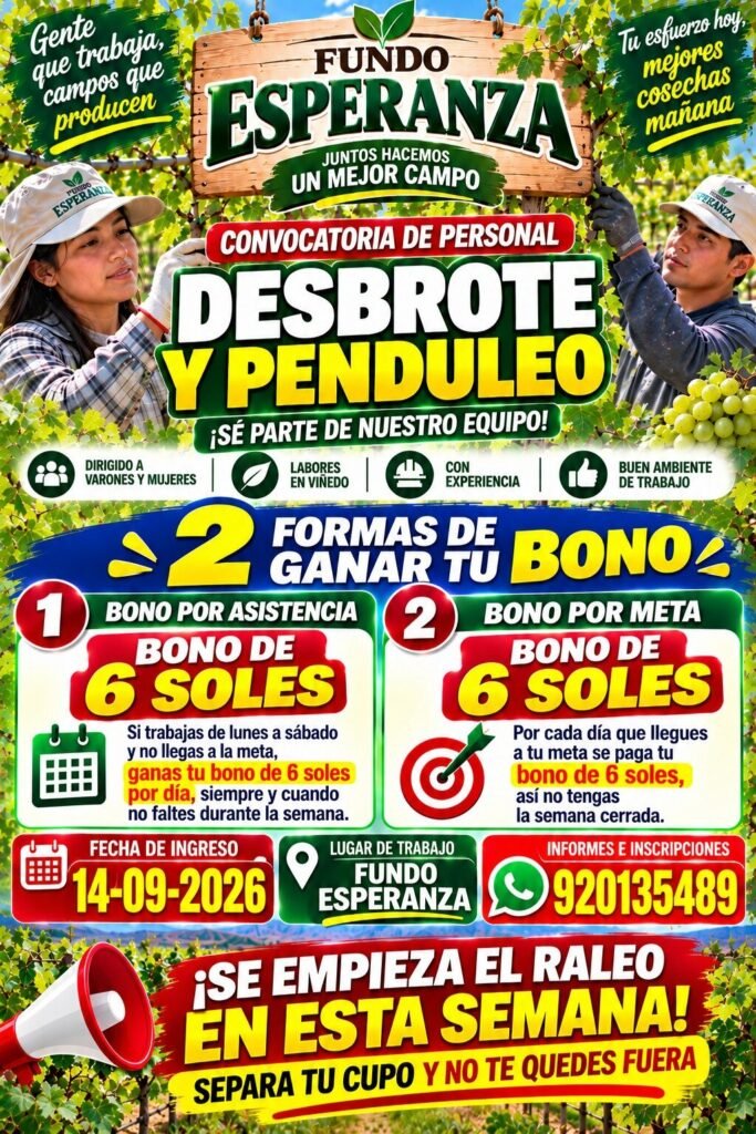 FUNDO ESPERANZA – CONVOCATORIA DE PERSONAL