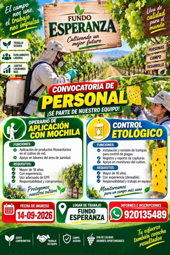FUNDO ESPERANZA – CONVOCATORIA DE PERSONAL - Imagen 3