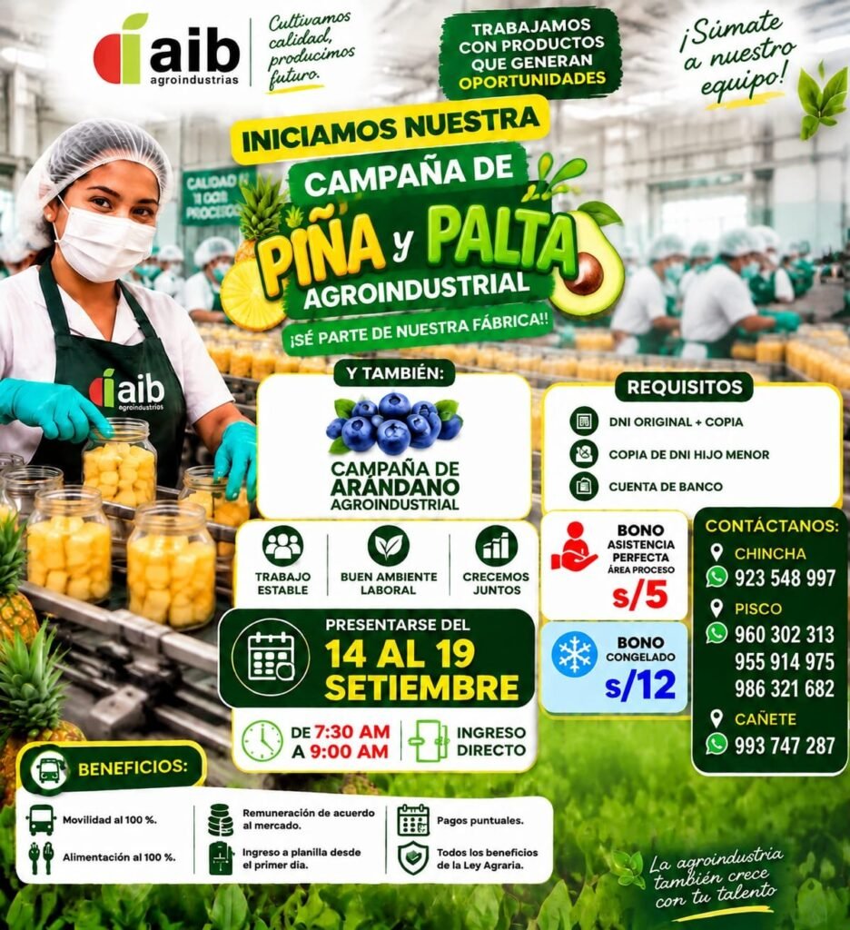 Campaña de packing de piña
