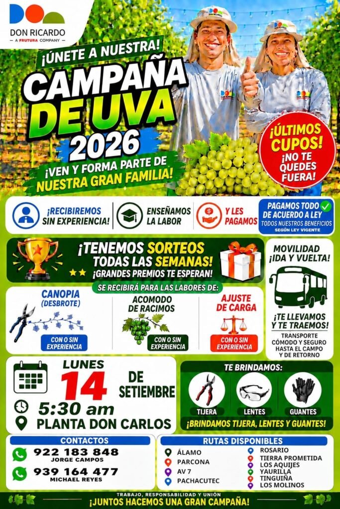 Oportunidad laboral en Ica
