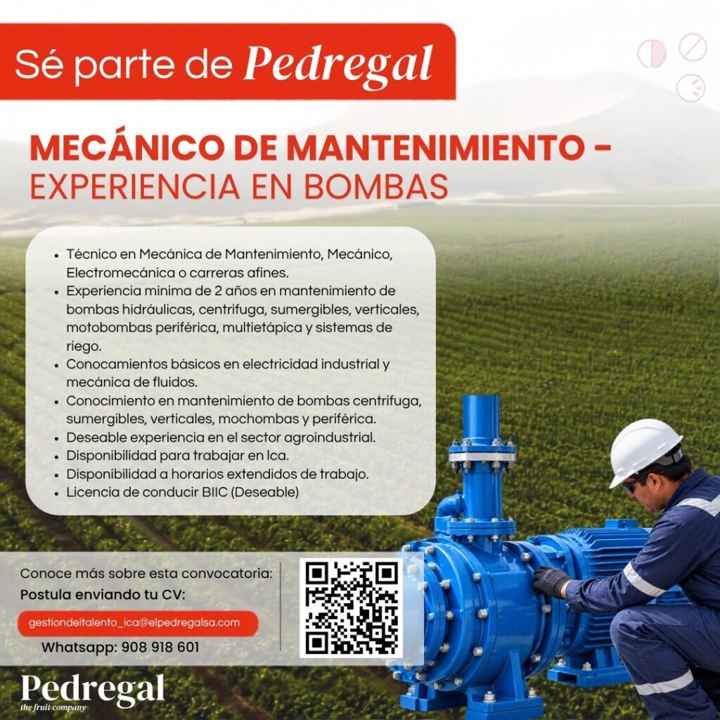 Técnico de mantenimiento de bombas