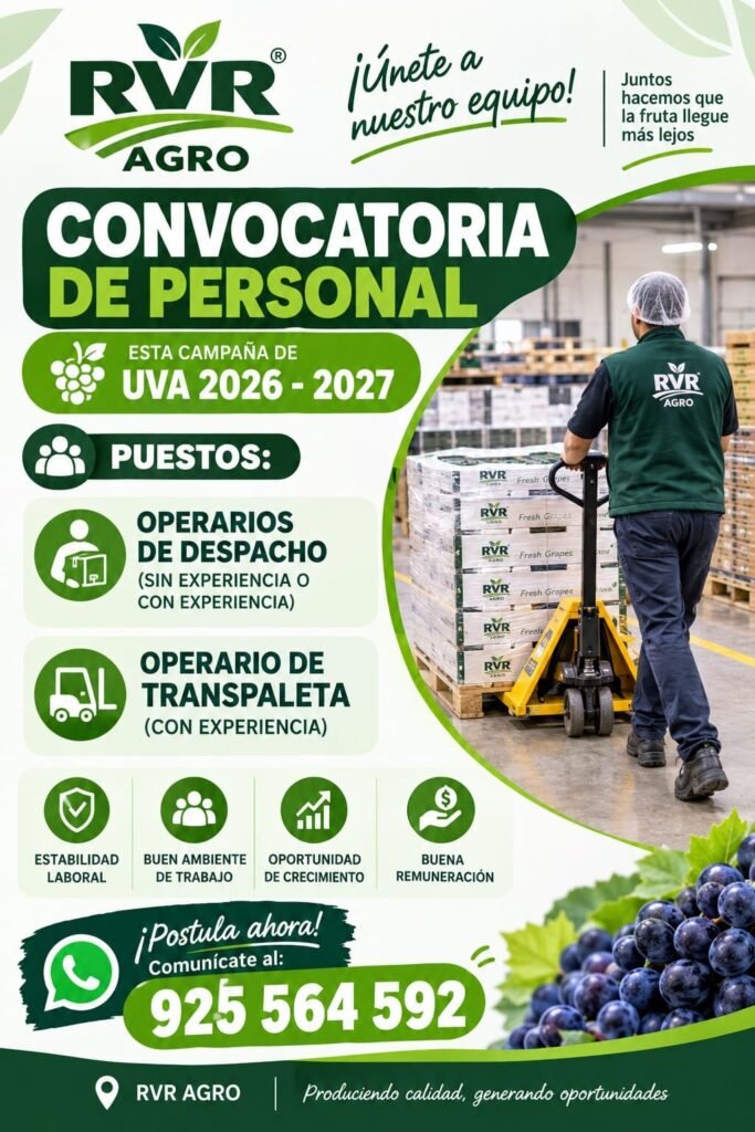 Operarios de despacho y transpaleta