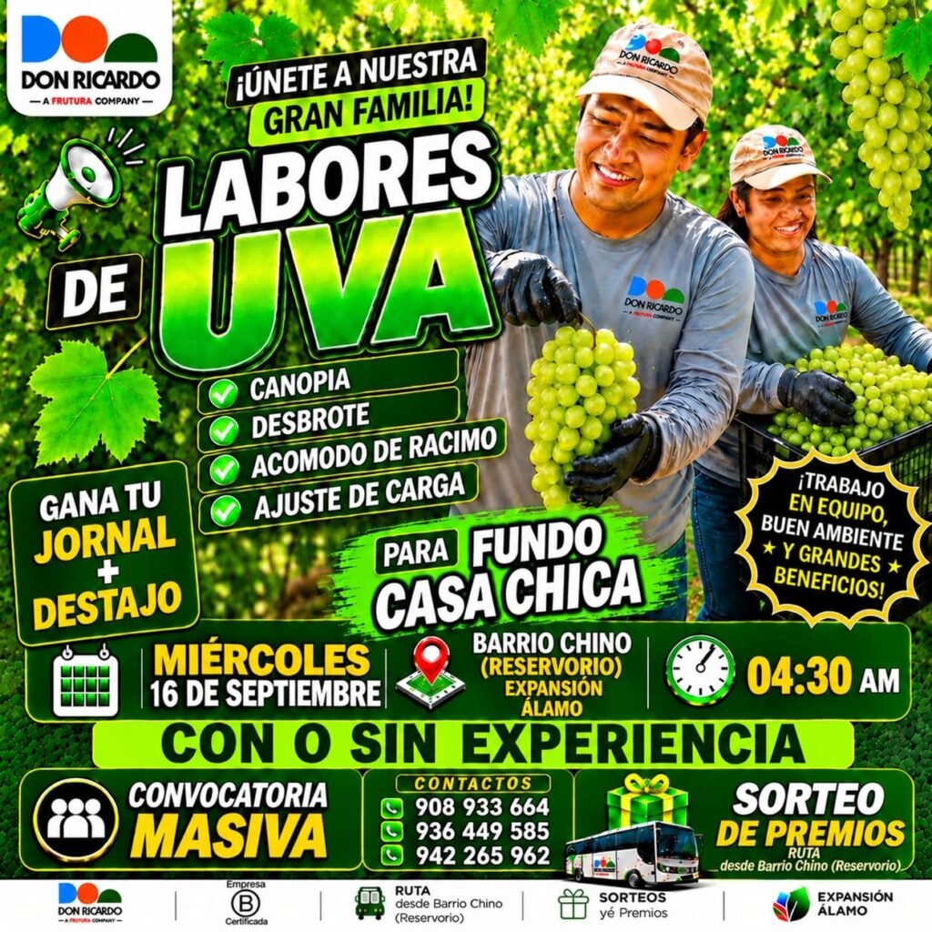 Convocatoria masiva en Agricola Don Ricardo - Imagen 4