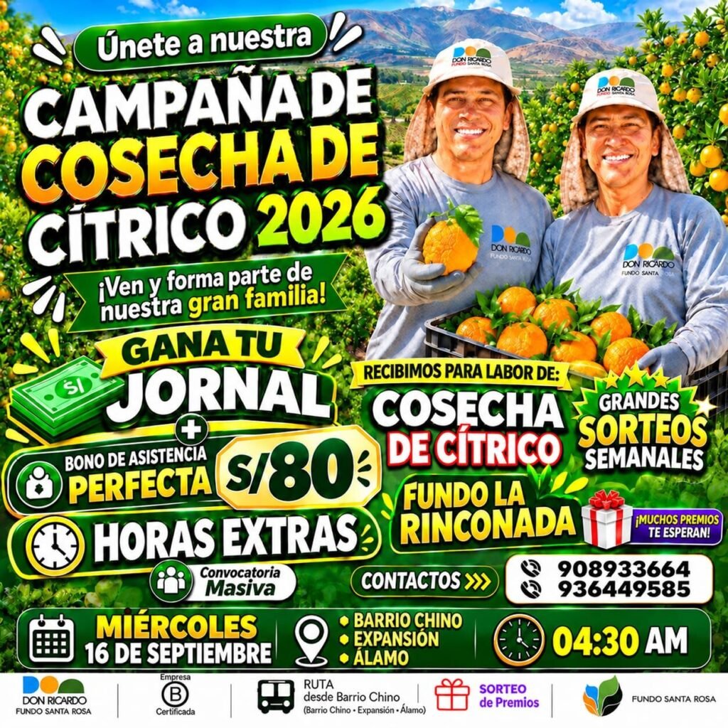 Convocatoria masiva en Agricola Don Ricardo - Imagen 2