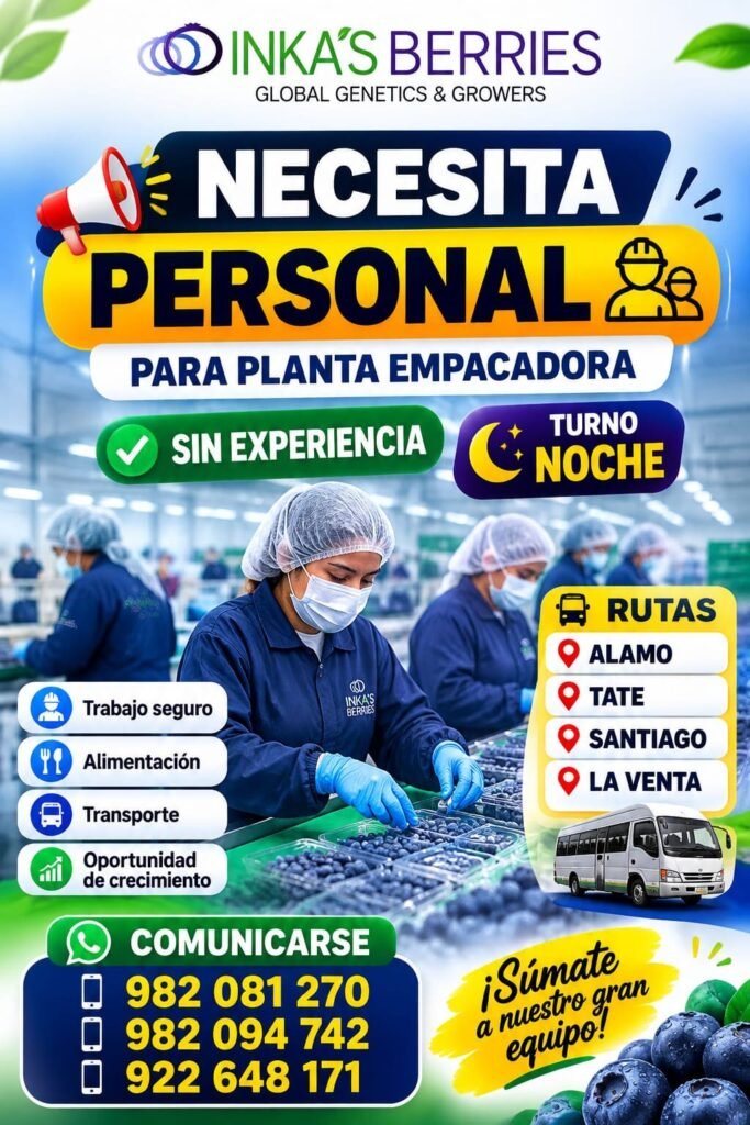 Personal para packing de arandanos en Inka Berries