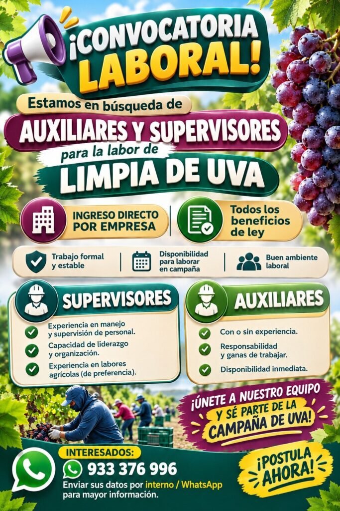 Auxiliares y supervisores