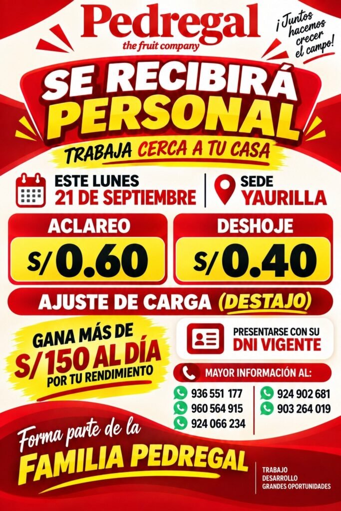 Deshoje, aclareo, penduleo y mas labores en Pedregal Ica - Imagen 2