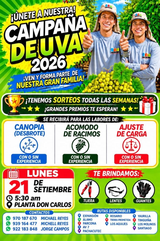 Se recibe personal para canopia y mas labores