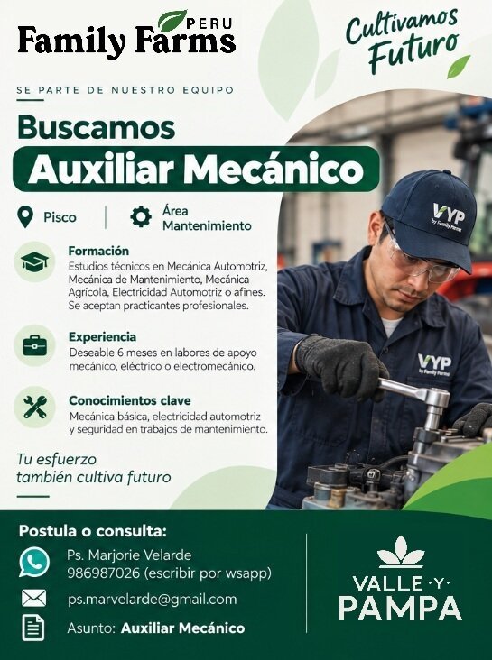 Tecnico d emotos y mecanico en Family Farms - Imagen 2