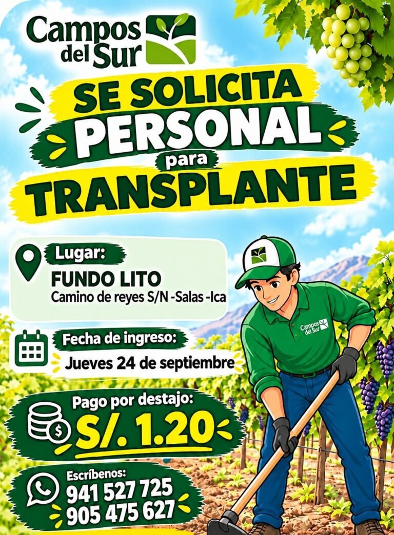 Personal para transplante