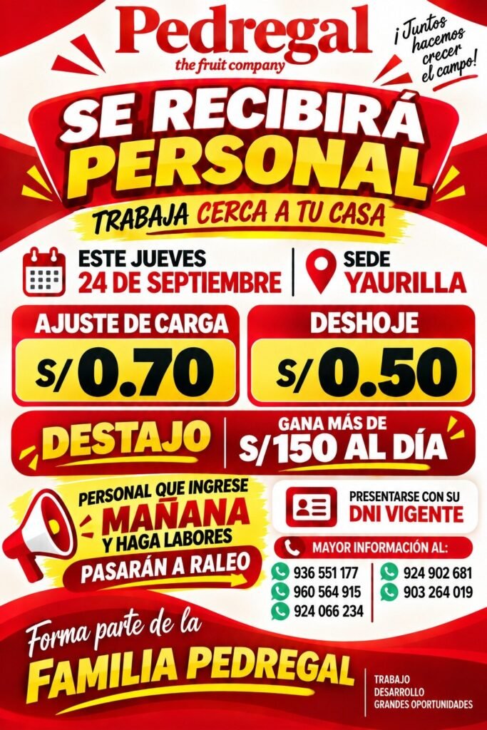 Personal para Pedregal Ica