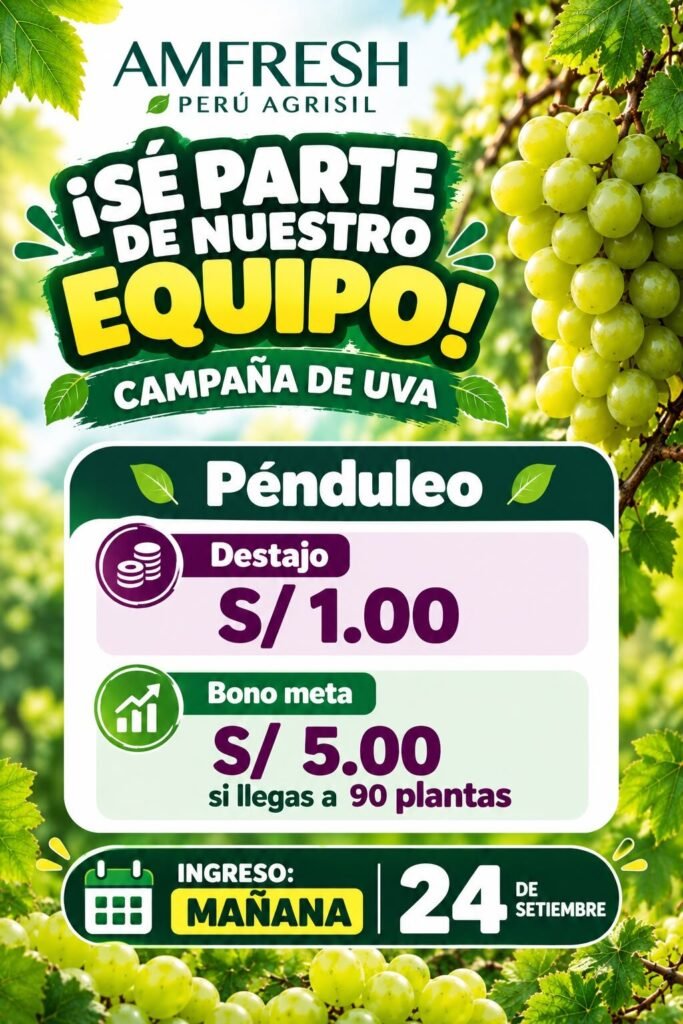 Penduleo en IQF
