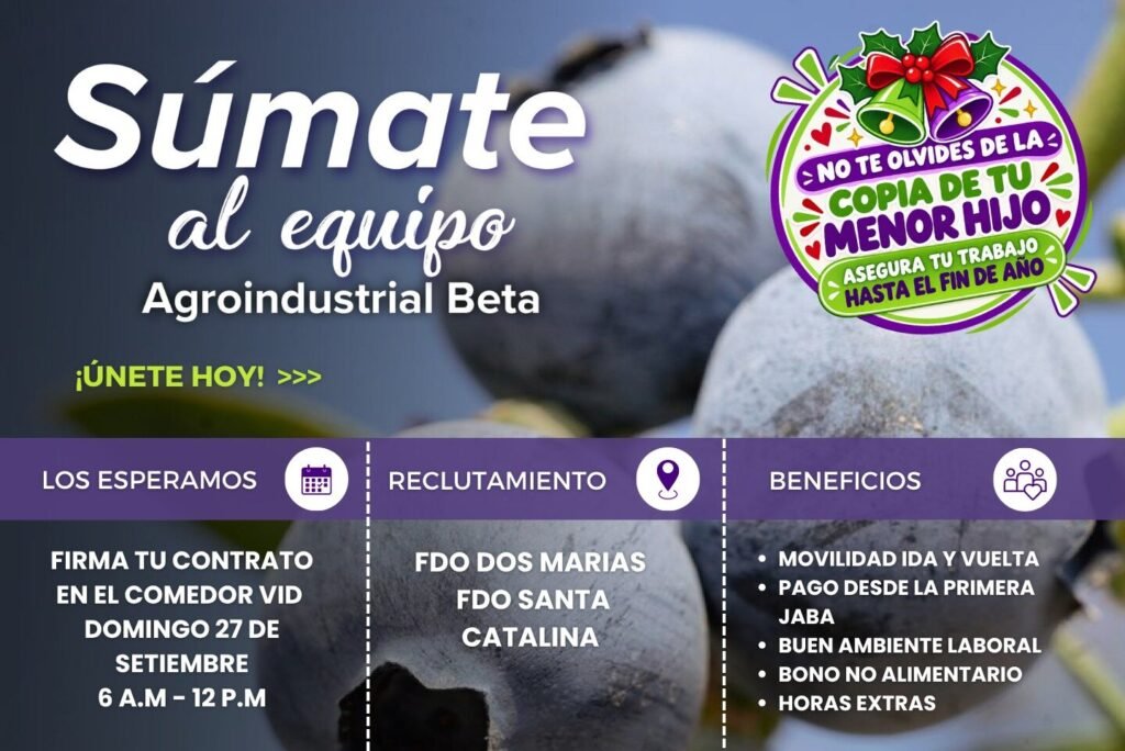 Campaña de cosecha de arandano