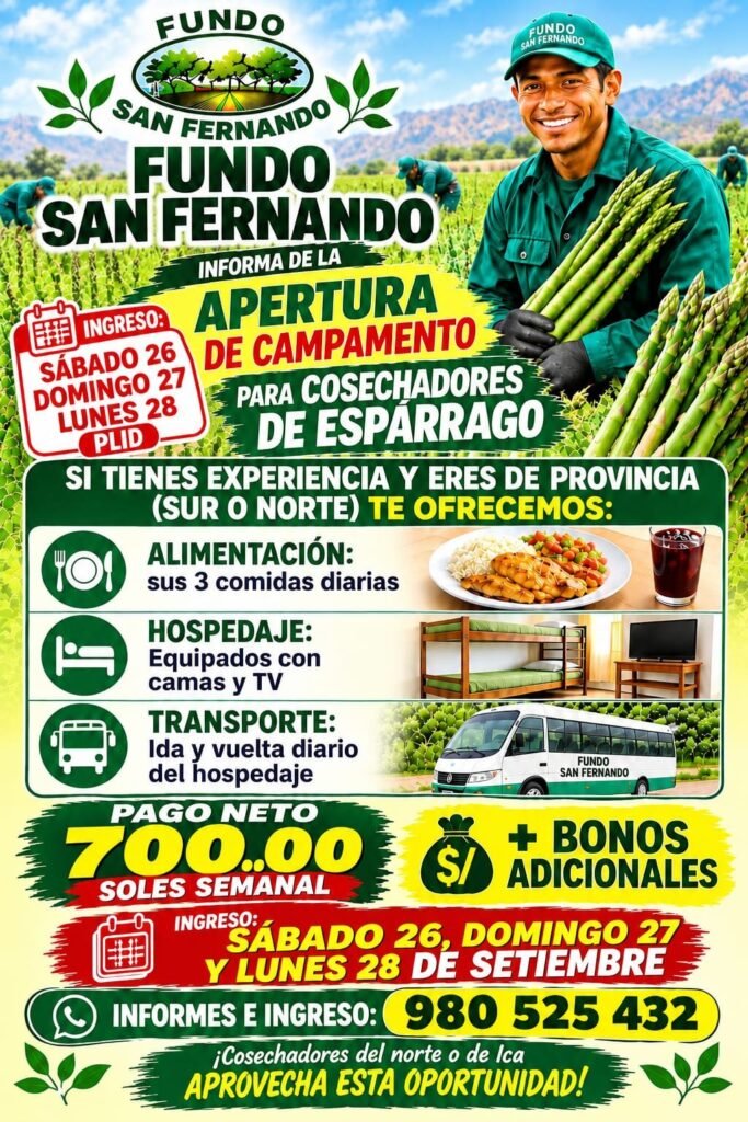 campamento para cosechadores de espárrago