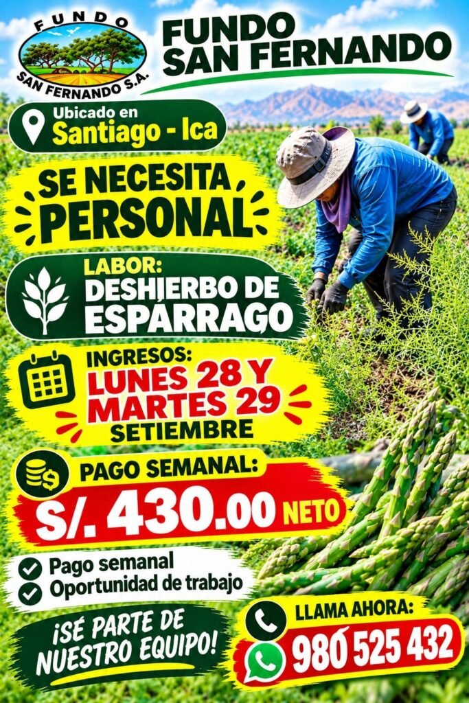 Deshierbo de esparrago