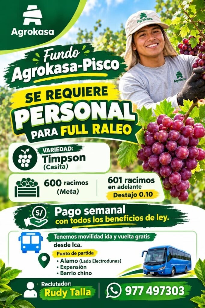 Personal para raleo