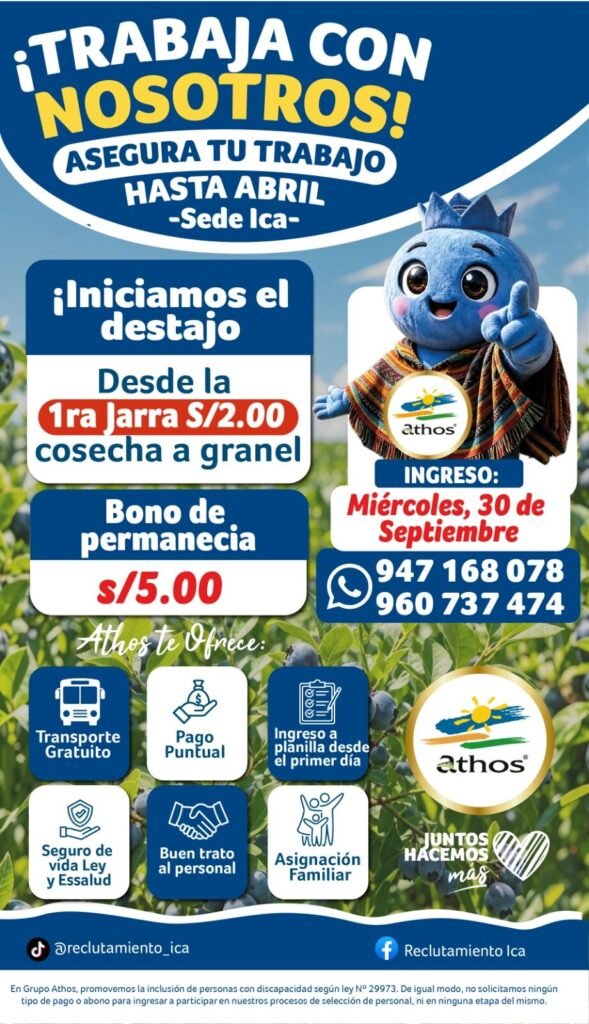 cosechadores de arándano
