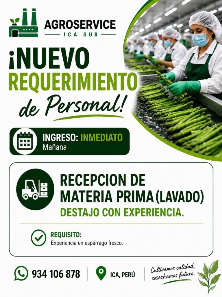 Recepción de materia prima (lavado) destajo — Agroservice Ica Sur