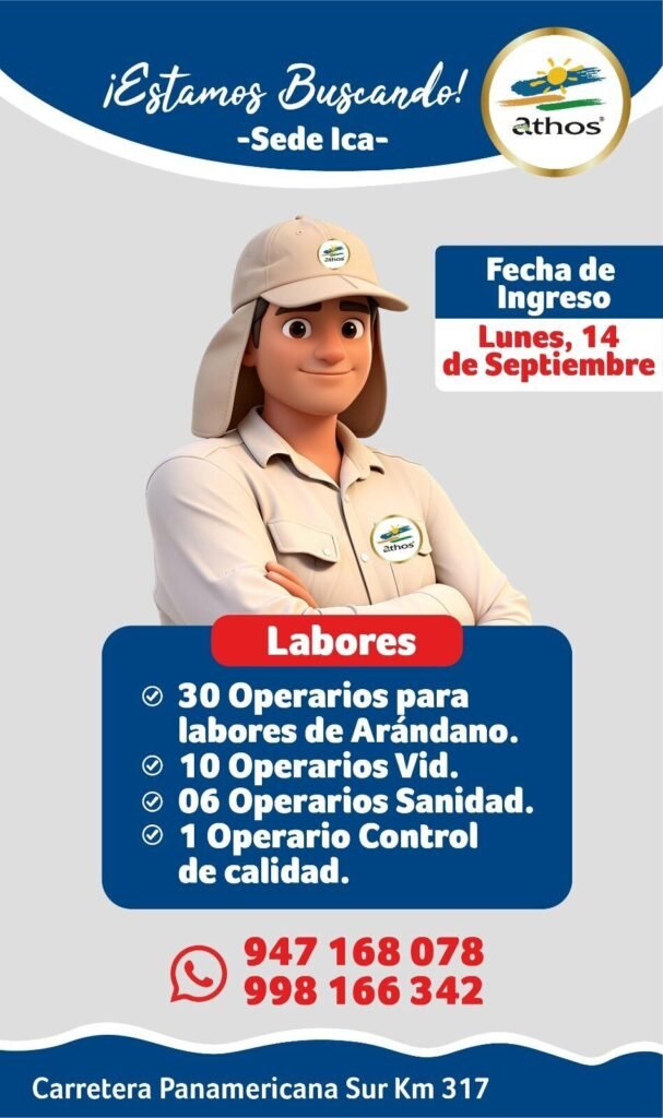 Grupo Athos Sede Ica — operarios arándano, vid, sanidad y control de calidad