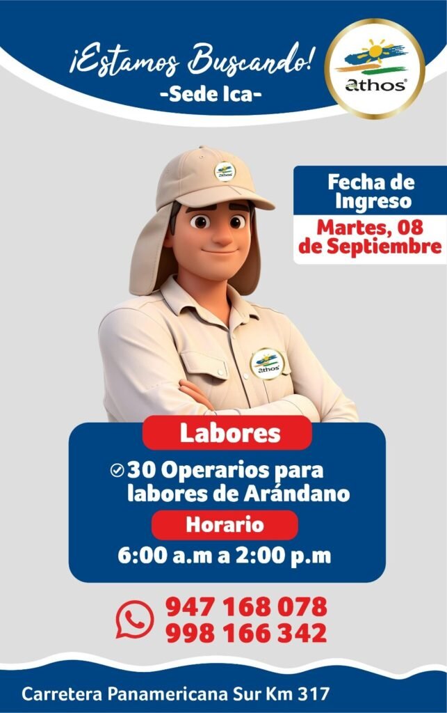30 operarios labores de arándano — Athos (Santiago)