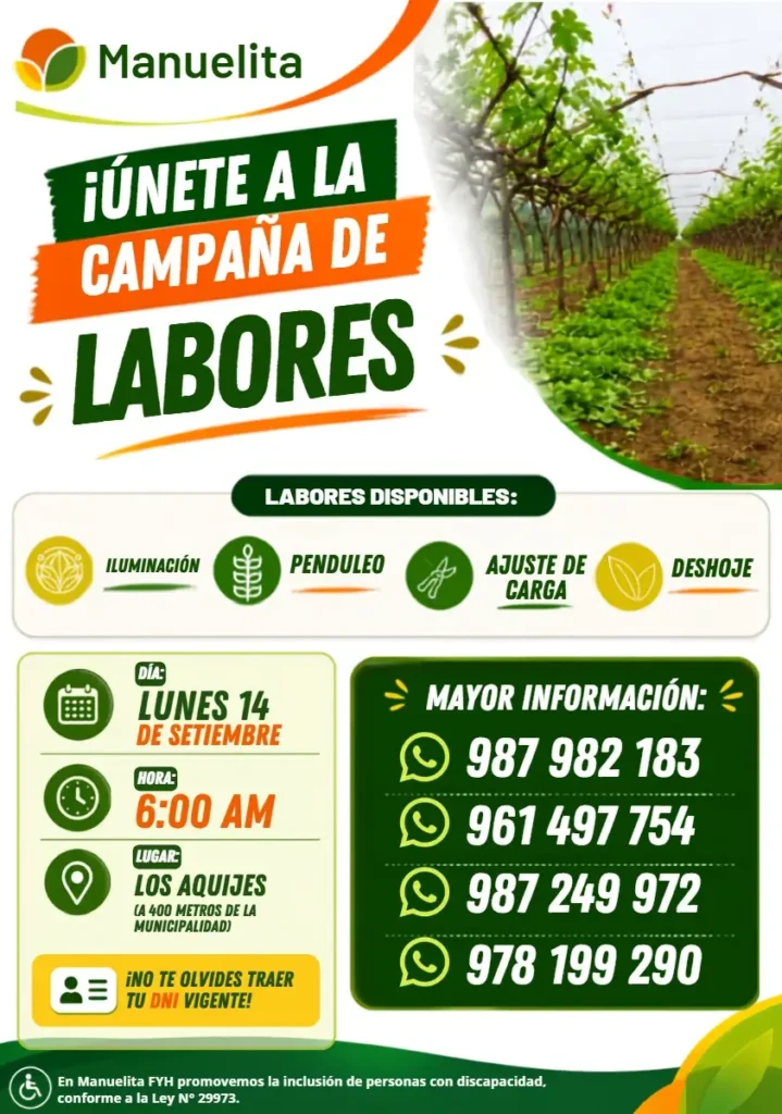 Manuelita FYH — Labores de campaña (iluminación, penduleo, ajuste de carga, deshoje) - Imagen 1
