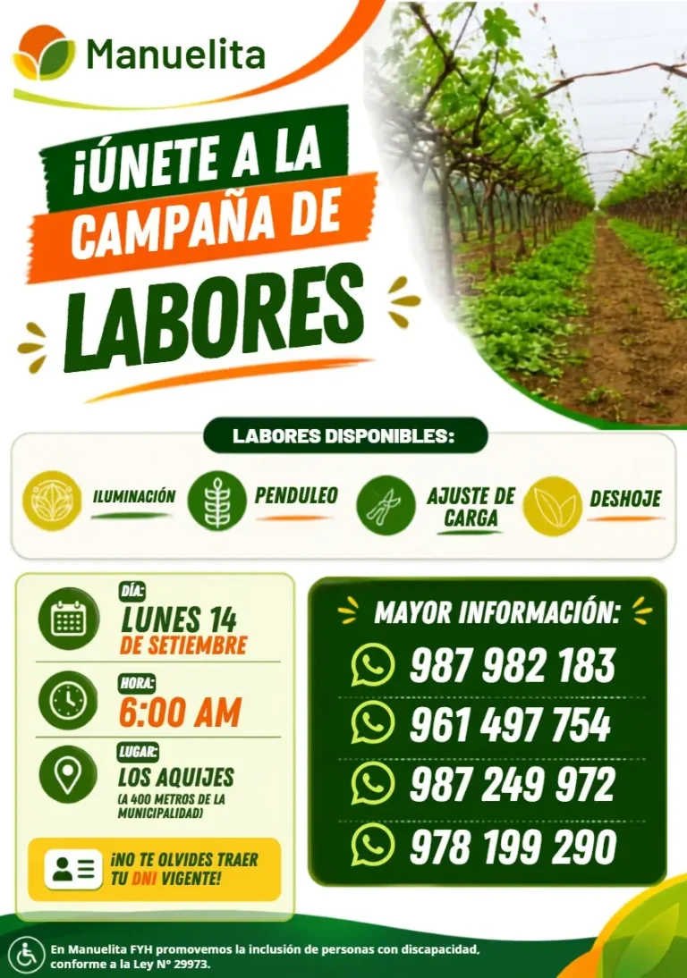 Manuelita FYH — Labores de campaña (iluminación, penduleo, ajuste de carga, deshoje)