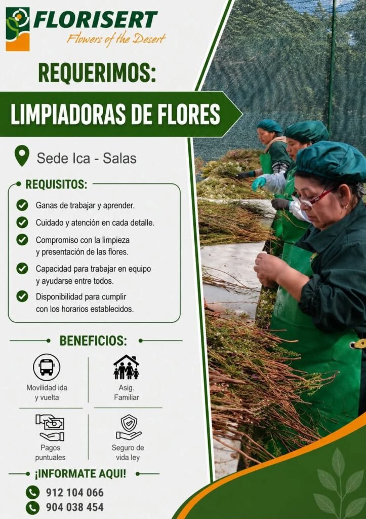 Limpiadoras de Flores — Florisert Sede Ica