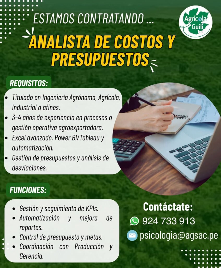 Analista de Costos y Presupuestos