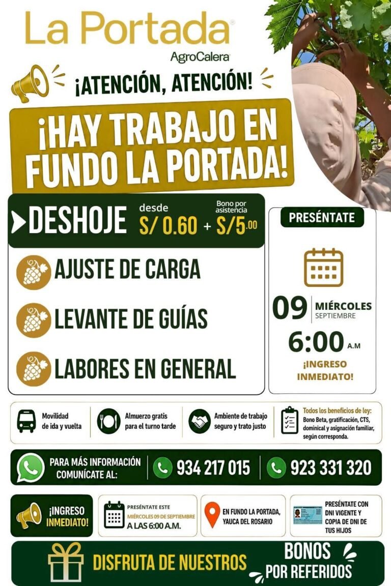 Operarios de campo — Fundo La Portada (Yauca del Rosario)