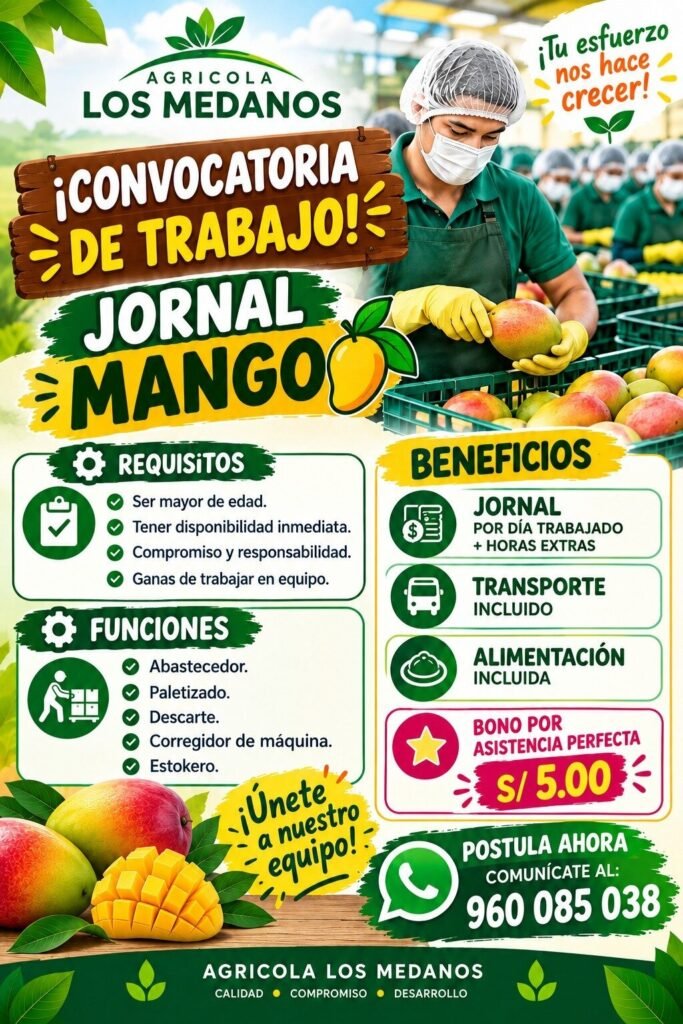 Jornal mango — Agrícola Los Médanos