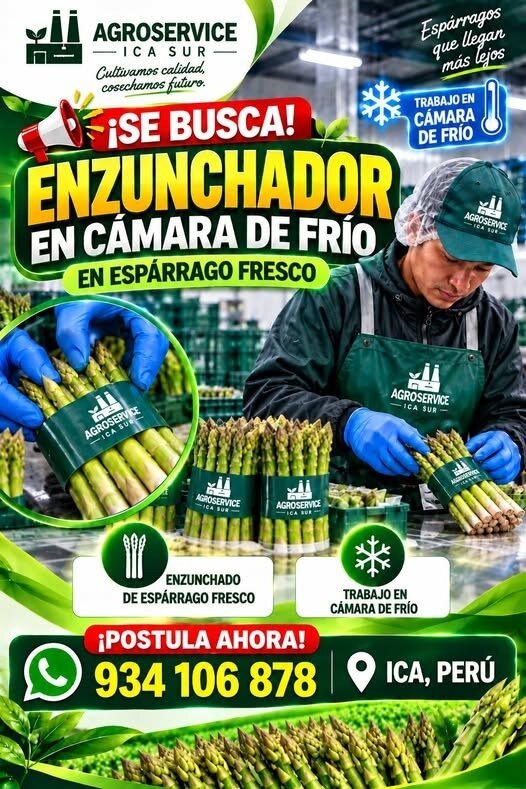 Supervisor de producción