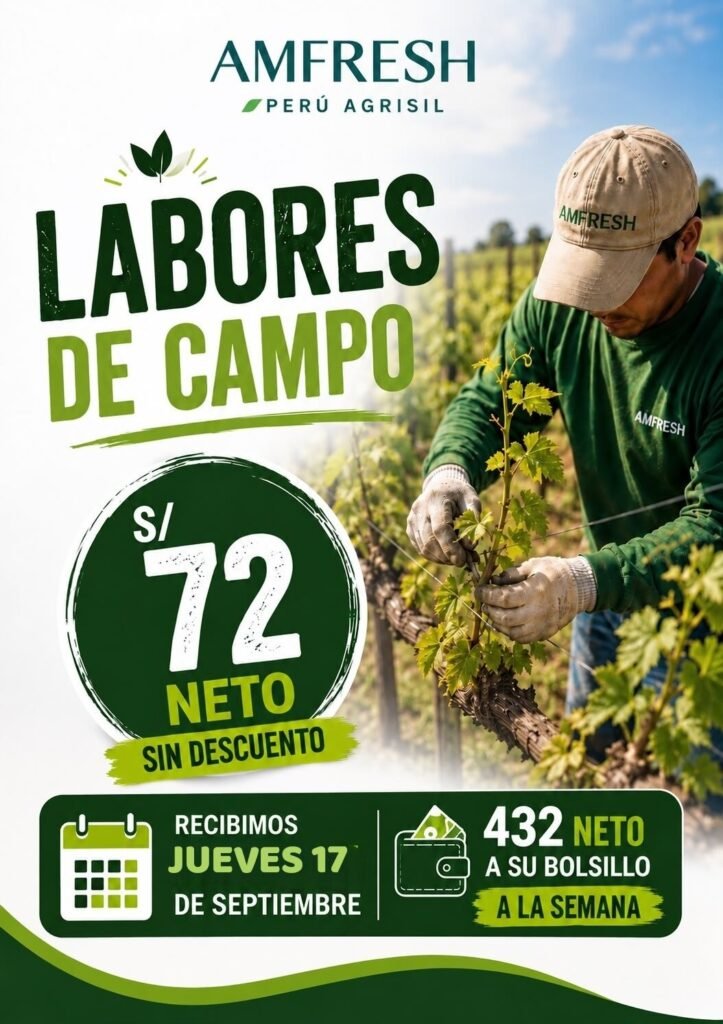Oportunidad laboral en Agrisil - Imagen 1