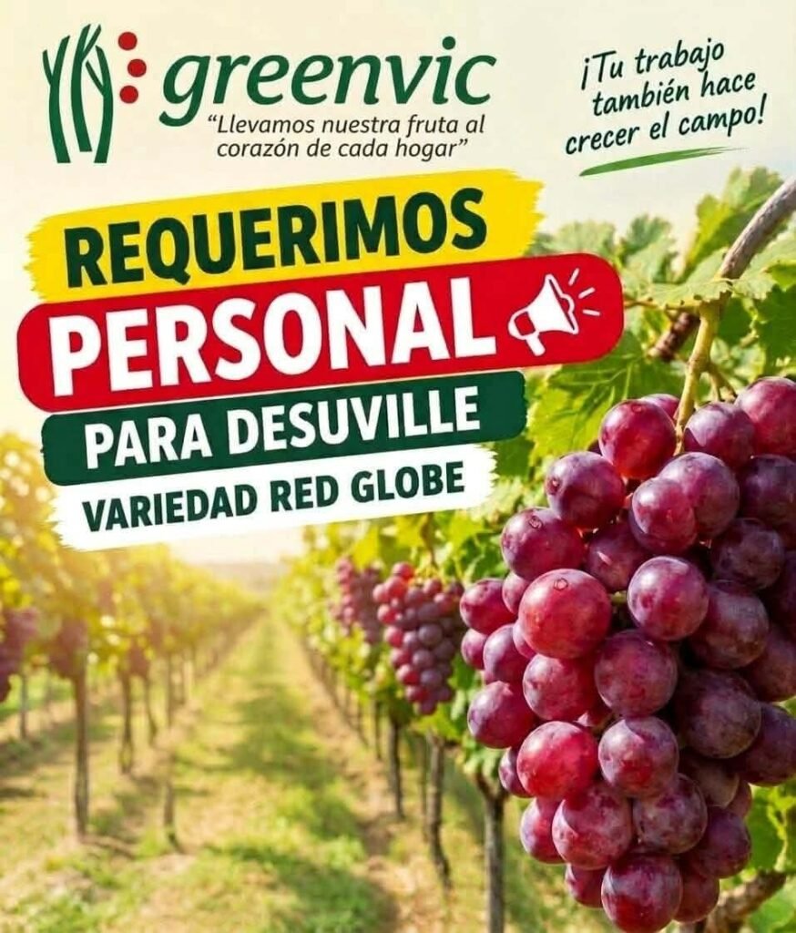 Únete a Greenvic - Imagen 2