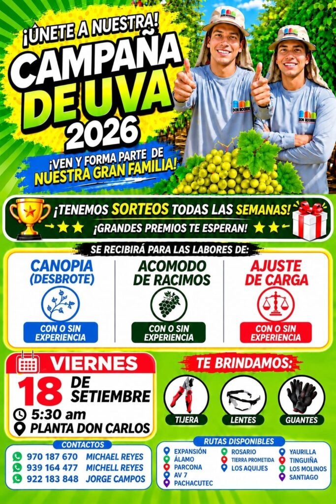 Trabajadores para Campaña de Uva en Planta Don Carlos, Ica
