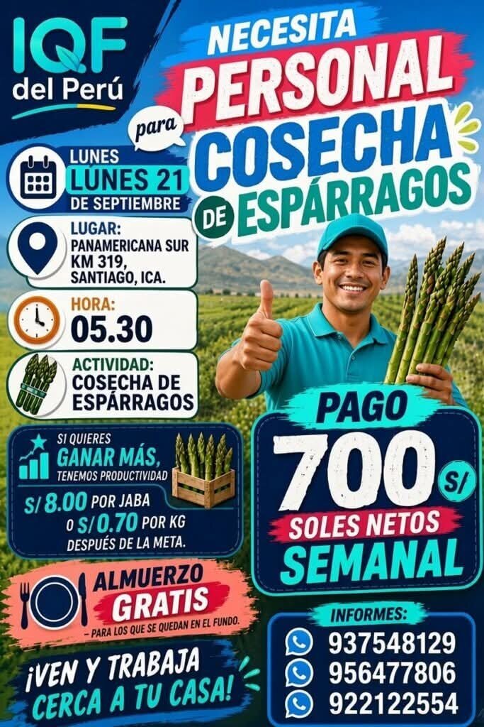 Personal para Cosecha de Espárragos en Santiago, Ica