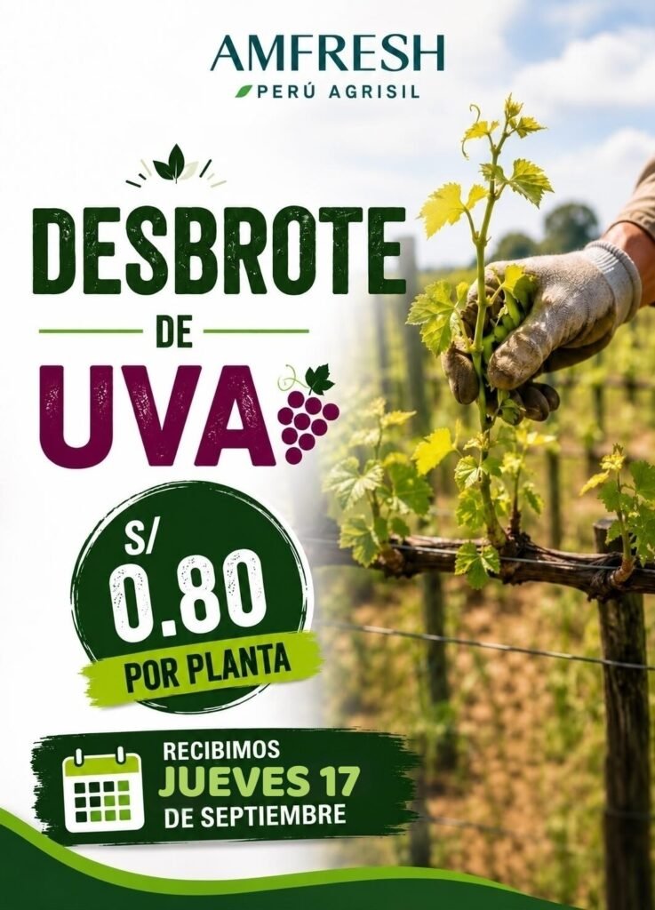 Oportunidad laboral en Agrisil - Imagen 2