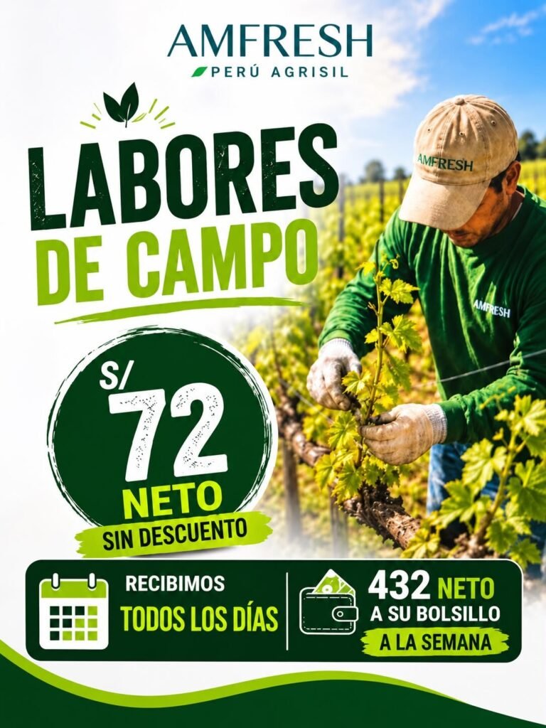 Labores de Uva