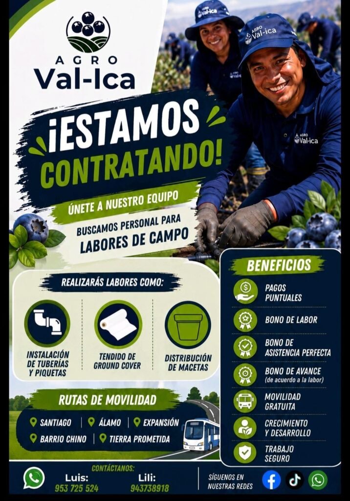 Personal para Labores de Campo en Ica – Agro Val-Ica