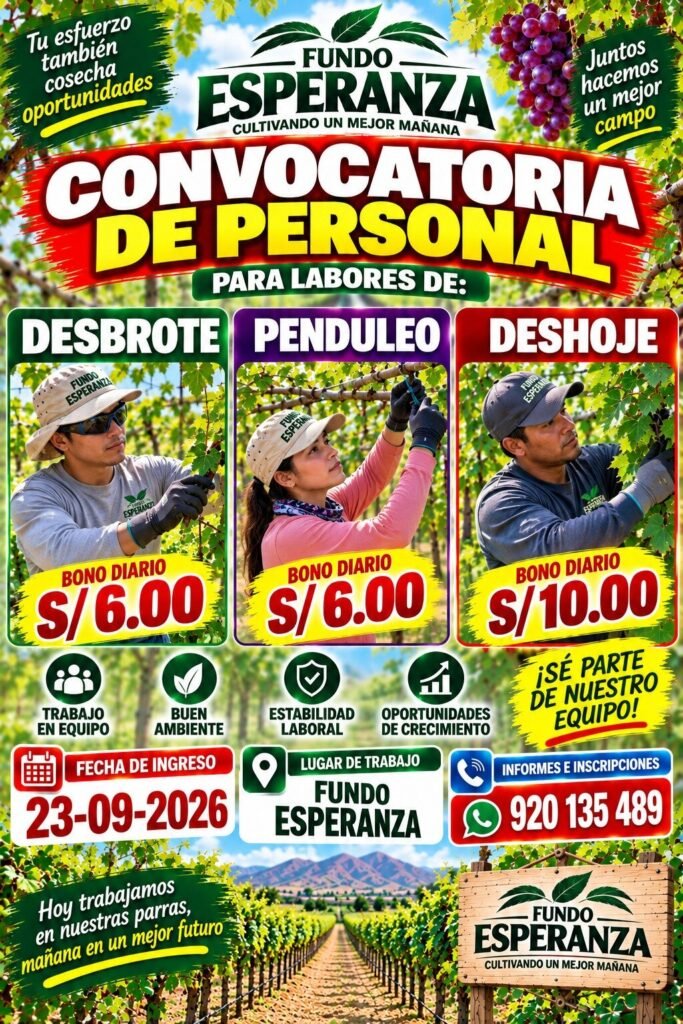 Personal para Fundo esperanza – Ica