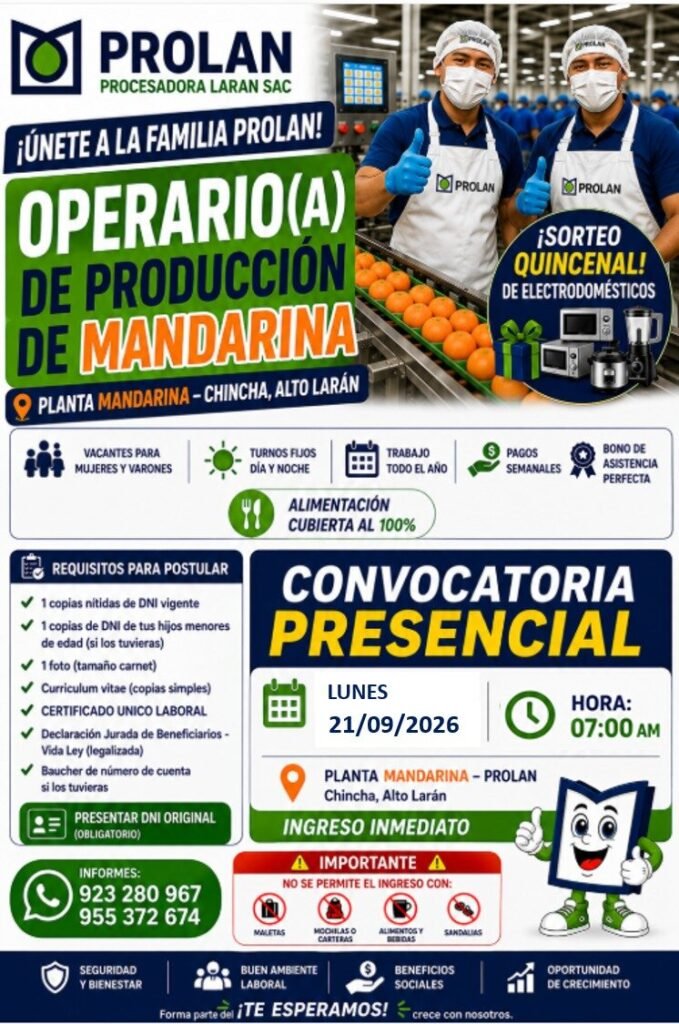 Operarios de Producción de Mandarina en Chincha, Alto Larán