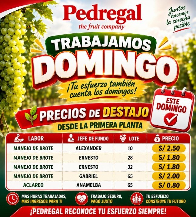Mañana domingo seguimos trabajando en Pedregal Ica