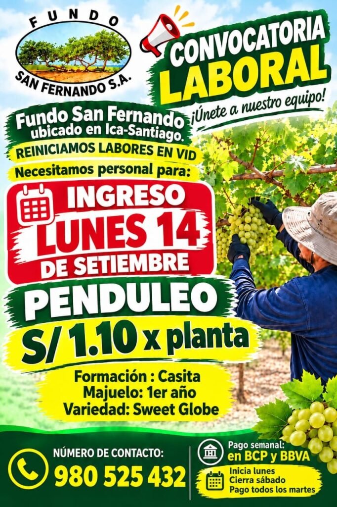 Se requiere personal para Fundo San Fernando - Imagen 1