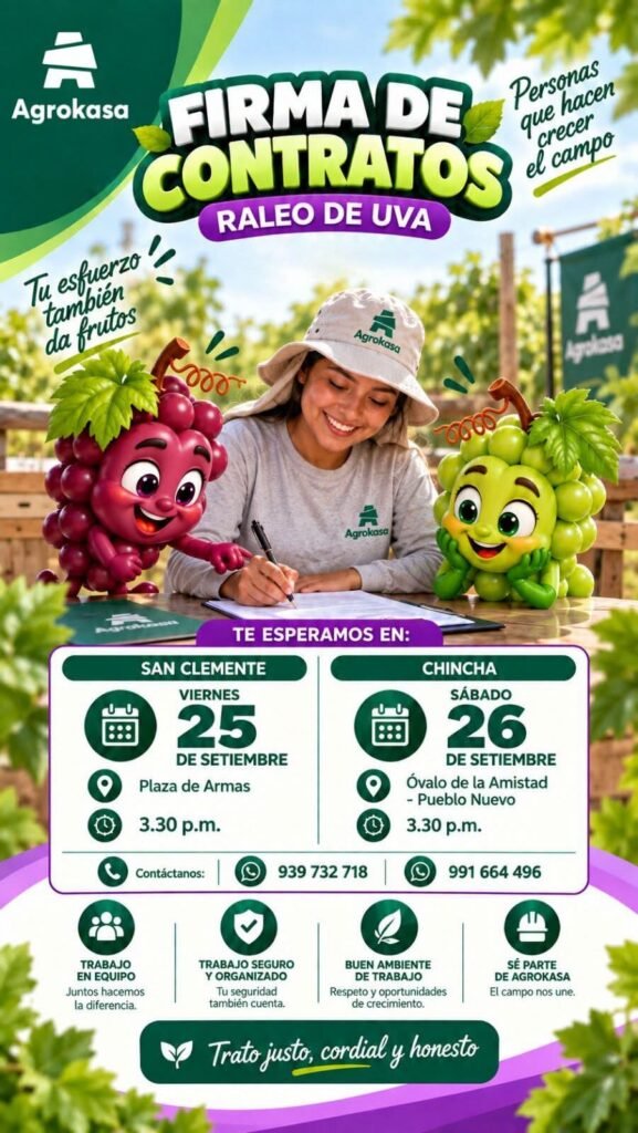 Raleo de uva en Agrokasa