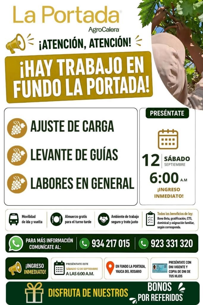 Más chamba en Fundo la portada